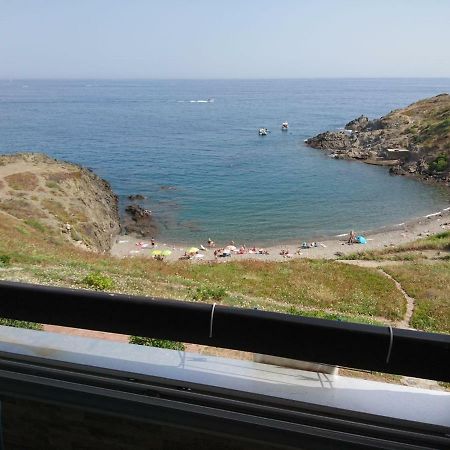 旺德尔港Portvendres Sea View公寓 外观 照片