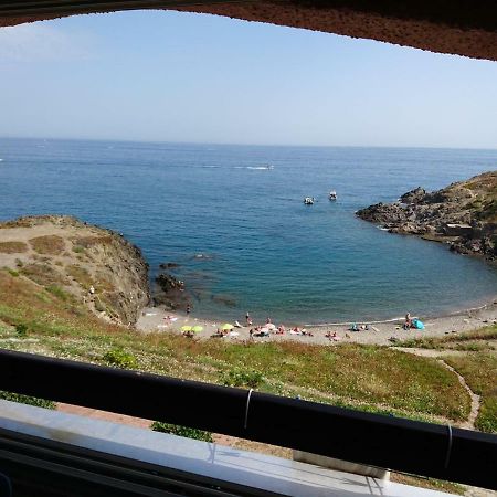 旺德尔港Portvendres Sea View公寓 外观 照片